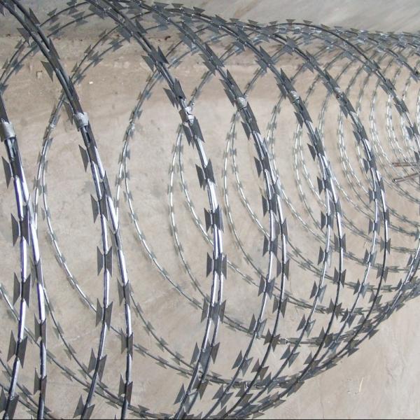 Prison Fencing Stainless Steel Cocertina Razor Wire fence BTO-22