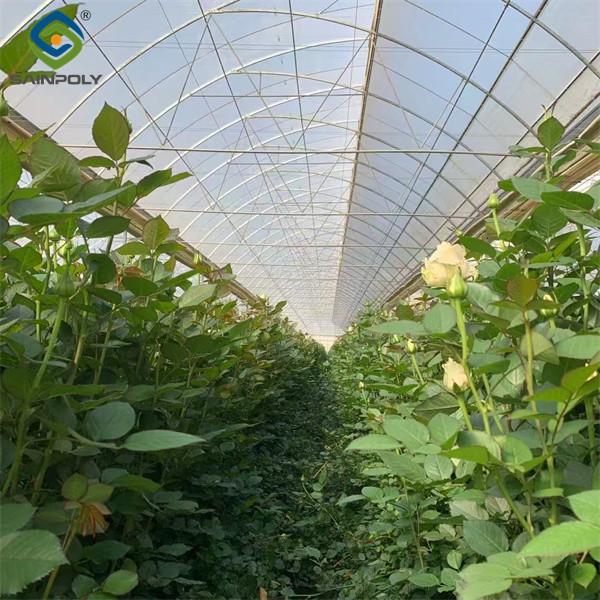 Uv Protection Transparent Flower Garden Greenhouse Easy To Assemble