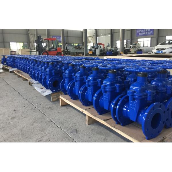 DIN3352 resilient seal cast iron PN16 gate valve
