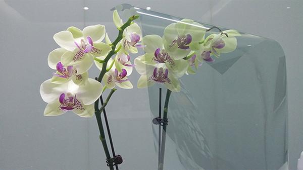 Nano Ceramic Film For Car Windows / High Insulation Sun Blocking Window Film