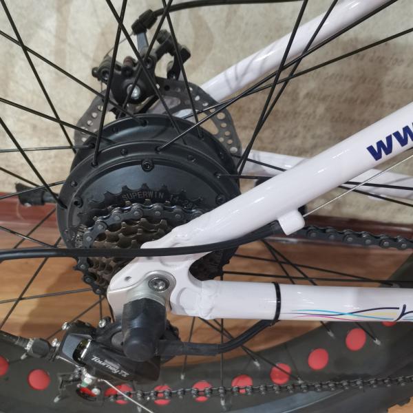 Изготовленный 26 дюймовый электрический велосипед с жирными шинами с литийным аккумулятором мощностью 48 Вт 500 Вт