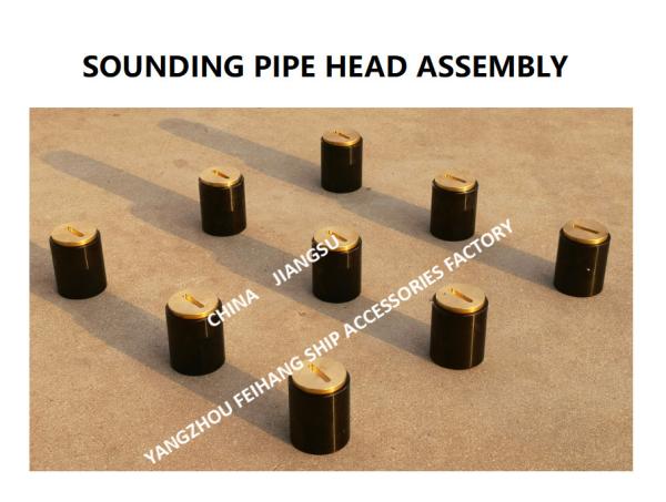 F. O. (fuel oil tank) fuel sounding pipe head, fuel tank temperature measuring head, sounding injection head C50 CB / t3