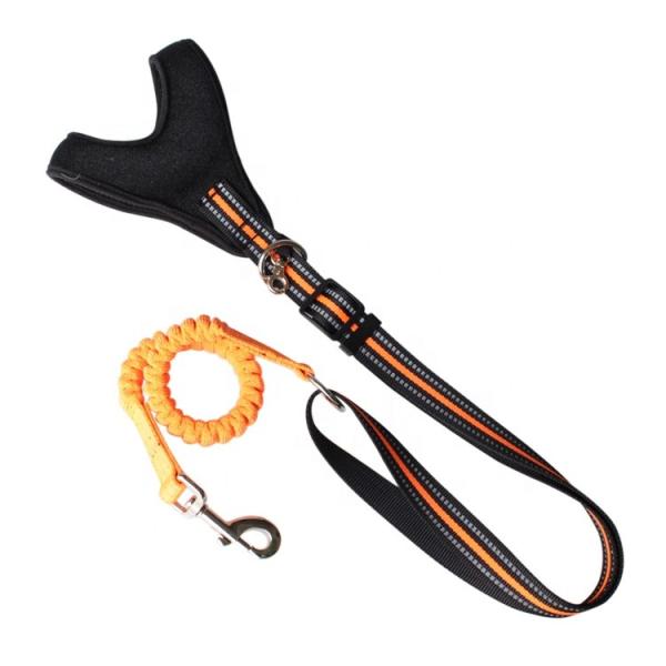 Fashion Custom Bungee Elastic Extended Retractable Nylon Braided Rope Dog Leash