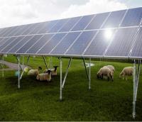 Structure de support solaire de gisement ouvert de GV avec le système de montage solaire de parenthèse solaire concrète de base