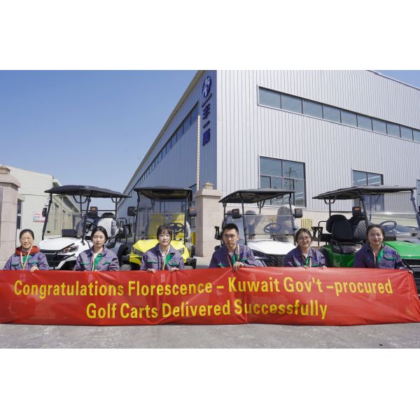 CE Certified White 4+2 Seat Electric Golf Cart with Lithium Battery