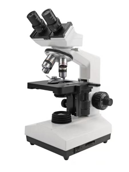 Microscope binoculaire