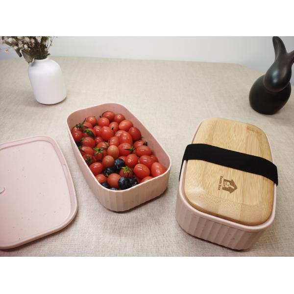 Customized Color Dual Tier Bamboo Lid Lunch Box for Large Capacity Portable Bento Box