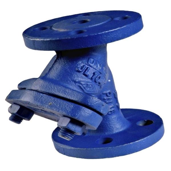 DIN BS Ductile Iron Y Strainer with Stainless Steel Filter Valves and Fitting Type