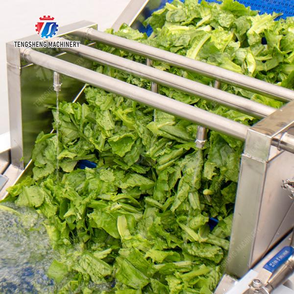 Bubble washing vibration air drying production line Orange Vegetable Herbs Fruit processing production Machine