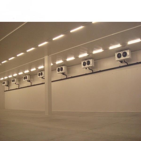 220V/380V/400V/440V 50m*50m de stockage à froid personnalisé avec système de réfrigération sur support