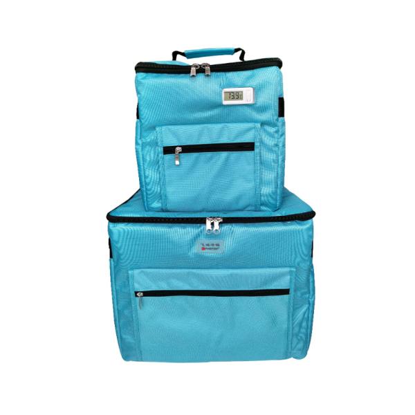 Soft Foldable Medical Cooling Storage With Ice Packs for Short Distance Delivery 15L 33L