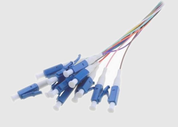 trança da fibra ótica 10Gbps