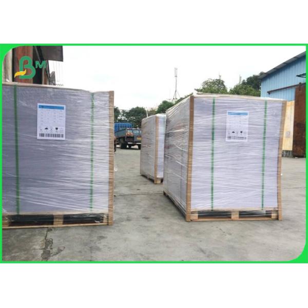 OEM Offset Uncoated Woodfree Paper Jumbo Roll 70gsm 80gsm For Notebook