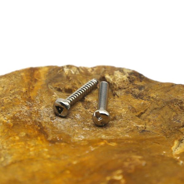 Industrial Custom Anti Theft Screw Stainless Steel Safety Fasteners