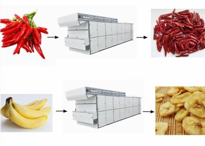 150-900kg/h Mesh Belt Dryer contínuo