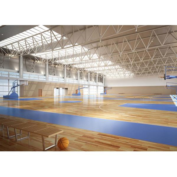 Deportes del PVC de la amortiguación de choque que suelan el artículo impermeable puro del rosa el 100%