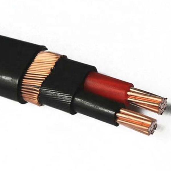 XLPE Insulated 6 AWG Copper Concentric Cable with 0.6/1kV Rated Voltage and Customizable Length