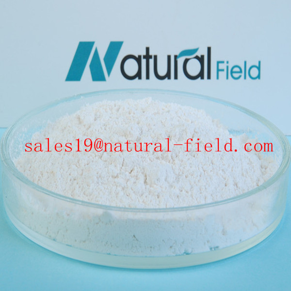 Natural Polygonum cuspidatum Extract 98%/99% Polydatin