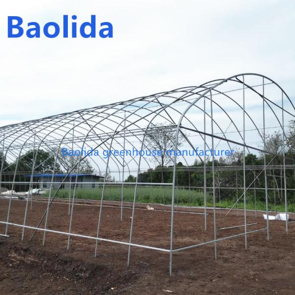 Singlespan Growing Farming Polyethylene Film Greenhouse For Vegetables