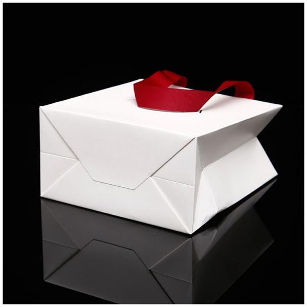 Promotional Retail Paper Shopping Bags With 4C / CMYK PANTONE Printing