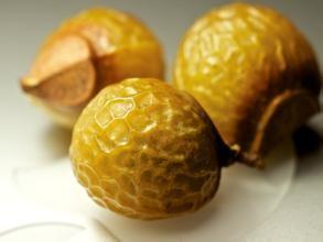 100% natural Soap Nut Extract Sapindussaponin 40% natural surfactant  washing products additive