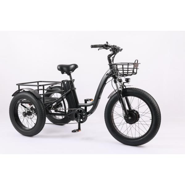 Retro Style DOMANCA High Capacity Family Cargo Bike with 500-750W Rear Hub Motor