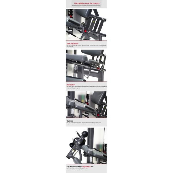 Seated Leg Extension Full Gym Body Building Equipment