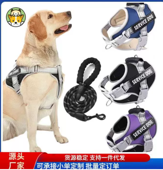 Pet Exercise & Fitness Gear Category