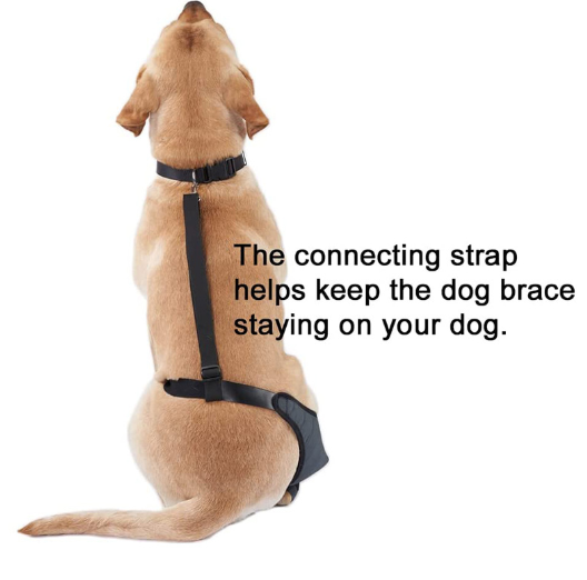 Расчалка ноги собаки вибрации анти- протектора скакательного сустава собаки разрыва анти- для травмы ACL