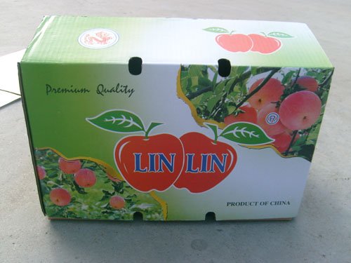 Hot-Sale Eco-Friendly Standard Corrugated Carton Packaging Box