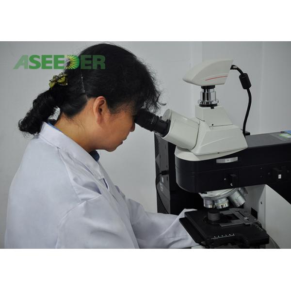 Frac Pumps Spare Parts Tungsten Carbide Plunger Used In Hydraulic Fracturing Treatments