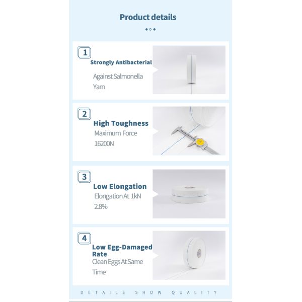 Customizable Length Egg Conveyor Belt with Lower than 0.3% Eggbrokenrate and Long Service Life for Poultry Layer Chicken Cage