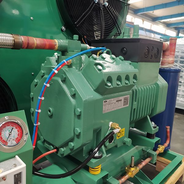 RUIXUE Blast Freezer Cold Storage Room Energy-Saving Cooling Refrigeration System Bitzee Compressor Condensing Unit 160kg