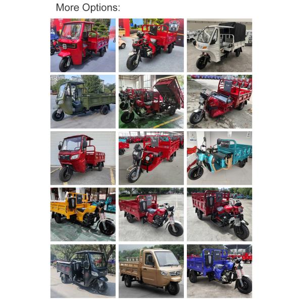 Cargo Truck Petrol Engine Motor Tricycle in Ghana with 4.50-12 Tire Size