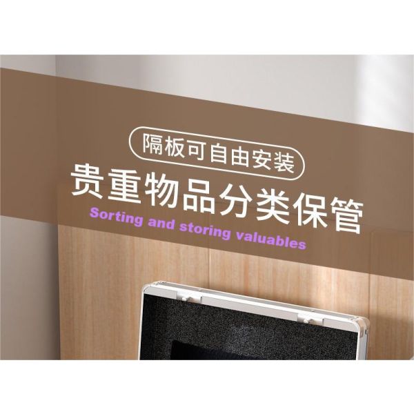 Key Storage Fingerprint Suitcase Safe Box Office & Home Document Jewelry Storage Padlock Rarlux S-S2