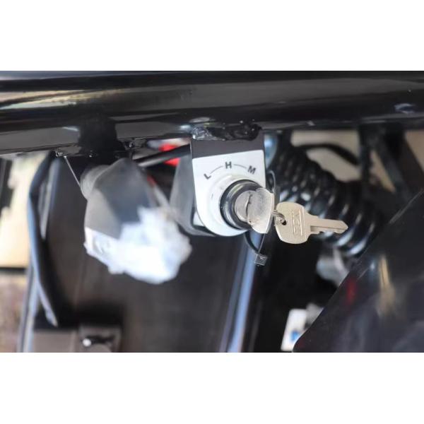 Two Seats Electric Go Cart with Front Disc Rear Disc Brake System and 60V Voltage