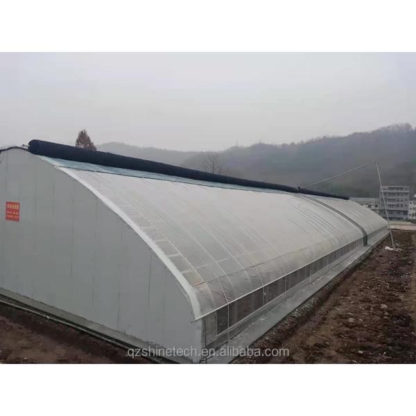 Single Span Agricultural Greenhouses With Warming Quilt Insulation System