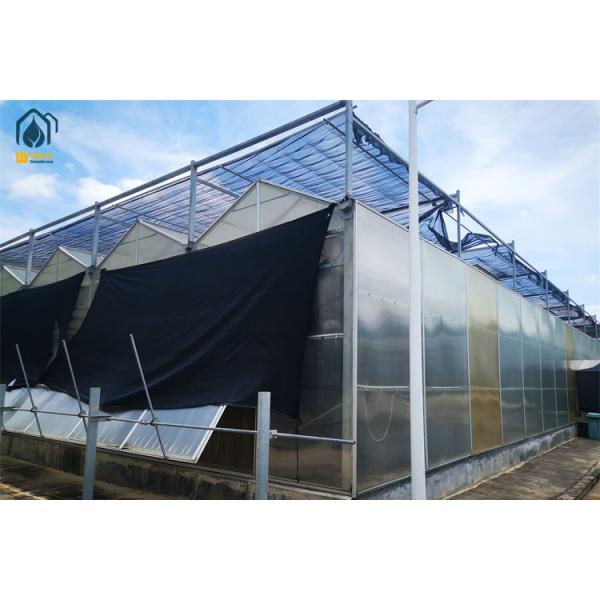 Agriculture Polycarbonate Greenhouse Commercial PC Board Greenhouse Customized