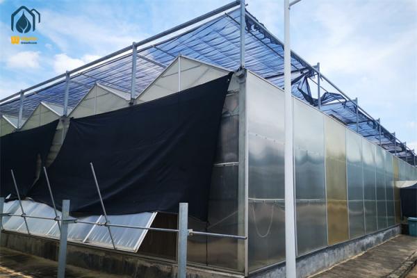 Agriculture commerciale Serre à feuille de polycarbonate Serre à feuille de PC