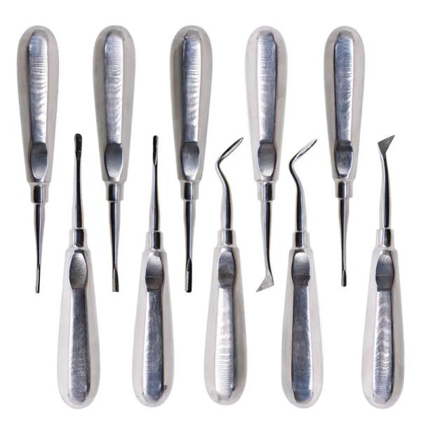 10pcs Dental Elevator Kit Dentist Surgical Tools Stainless Steel Dental Root Elevator