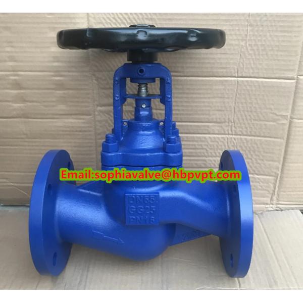 DIN bellows flanged cast iron globe valve