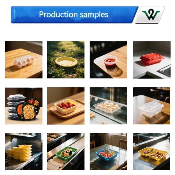Fully Automatic plastic food container making machine
