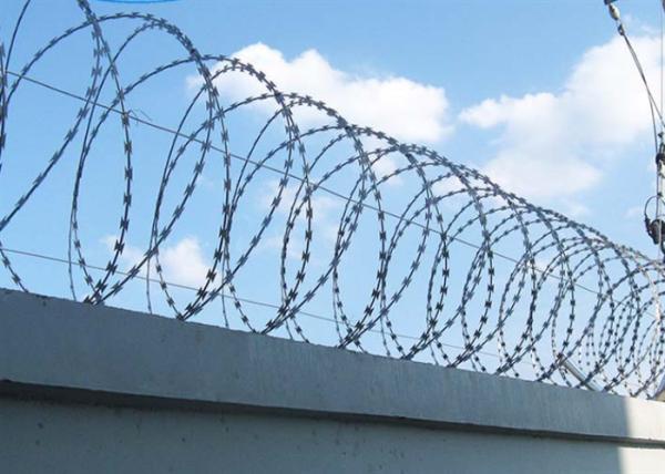 Low Carbon Steel Razor Barbed Wire Concertina Coil Diameter 500mm Prevent Theft