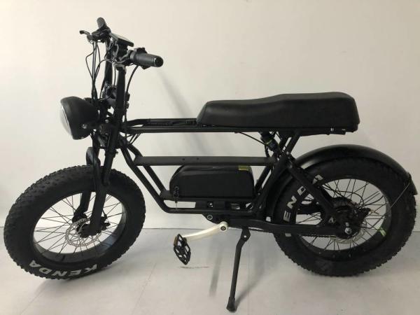 500w 9.6Ah 40kmh 20 Inch Fat Tire Ebike Bicycle Cargo Double Batteries Folding