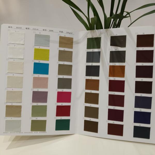 Thin And Breathable 100% Nylon Fabric 169GSM Nylon Dress Fabric