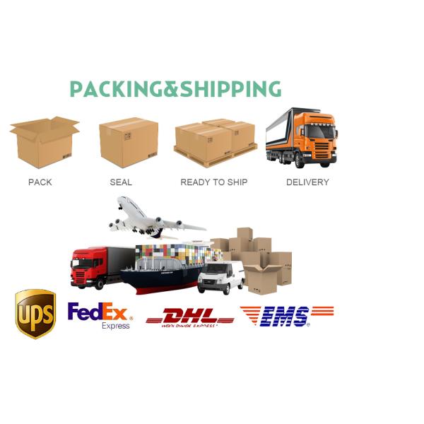 Wholesales fashion design metallic women holographic rain coat