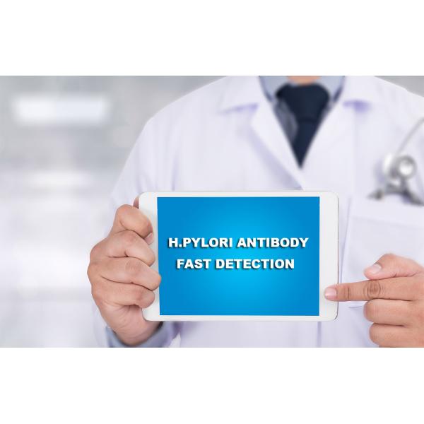 In Vitro Diagnostic 100ul Serum Plasma H Pylori Rapid Test Kit