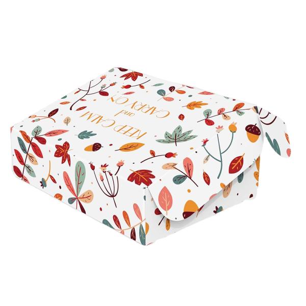 Custom Printed Recycled Jewelry Clothing Packaging Postal Shipping Box Cardboard CMYK