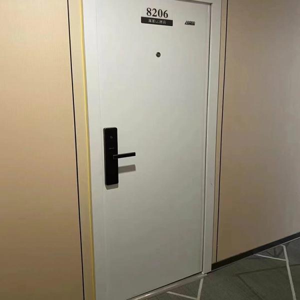 Security Doors Contemporary Style With Durability Weather Resistant And Secure Design