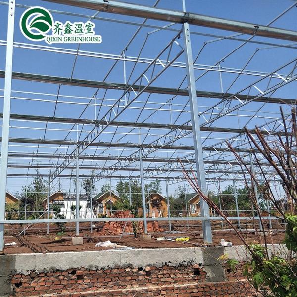 Vegetable Fruits Flowers Tomatoes Greenhouse with Inside and Outside Shading System